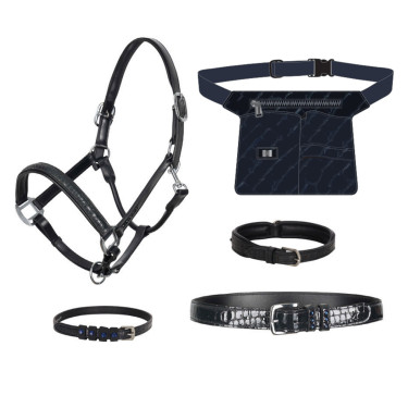 Collar para perro Imperial Riding Florida Collar para perro Imperial Riding Florida
