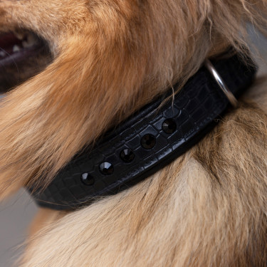 Collar para perro Imperial Riding Florida Collar para perro Imperial Riding Florida