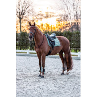 Gueteras Imperial Riding Lovely Verde salvia