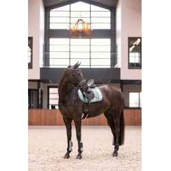 Gueteras Imperial Riding Lovely Verde salvia