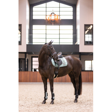 Gueteras Imperial Riding Lovely Verde salvia