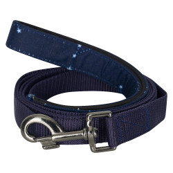 Correa para perro Imperial Riding Ambient Marino