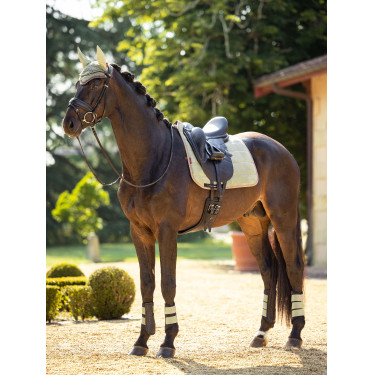 Protectores LeMieux Grafter Protectores LeMieux Grafter
