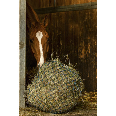 Hooinet Hippotonic Zari