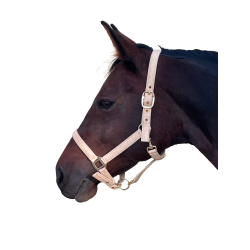 Cabezada Canter Malibu