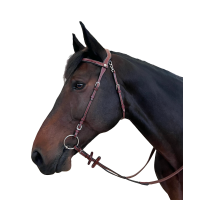  Negro