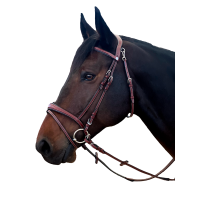  Negro