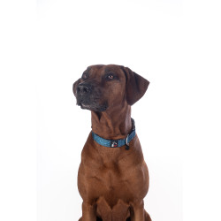 Collar de perro HKM Anam Cara de nailon Aceite Azul Collar de perro HKM Anam Cara de nailon Aceite Azul