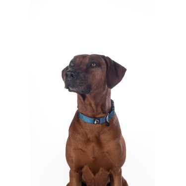 Collar de perro HKM Anam Cara de nailon Aceite Azul Collar de perro HKM Anam Cara de nailon Aceite Azul