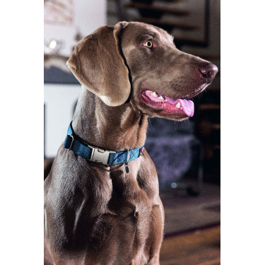 Collar de perro HKM Anam Cara de nailon Aceite Azul Collar de perro HKM Anam Cara de nailon Aceite Azul