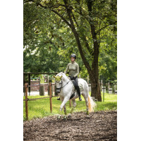 Campanas HKM Edinburgh Pistacho Verde