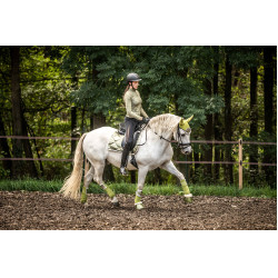 Campanas HKM Edinburgh Pistacho Verde