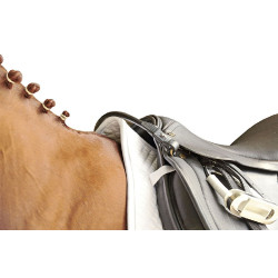 Correa de sujeción HKM para silla de montar