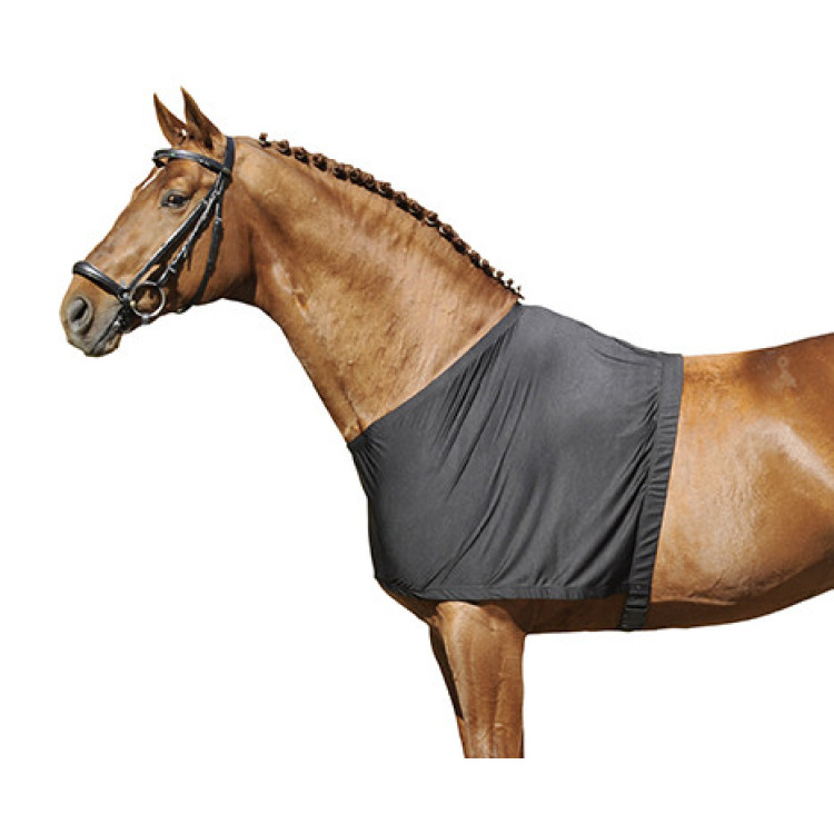 Protector de pecho HKM