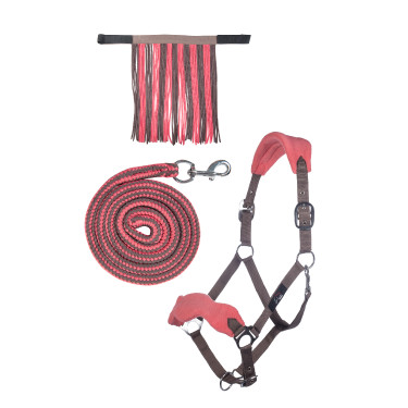 Set de cabezada HKM con mosquetón y flecos desmontables