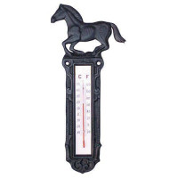 Termómetro de hierro forjado HKM Color indicativa Transparente Termómetro de hierro forjado HKM Color indicativa Transparente