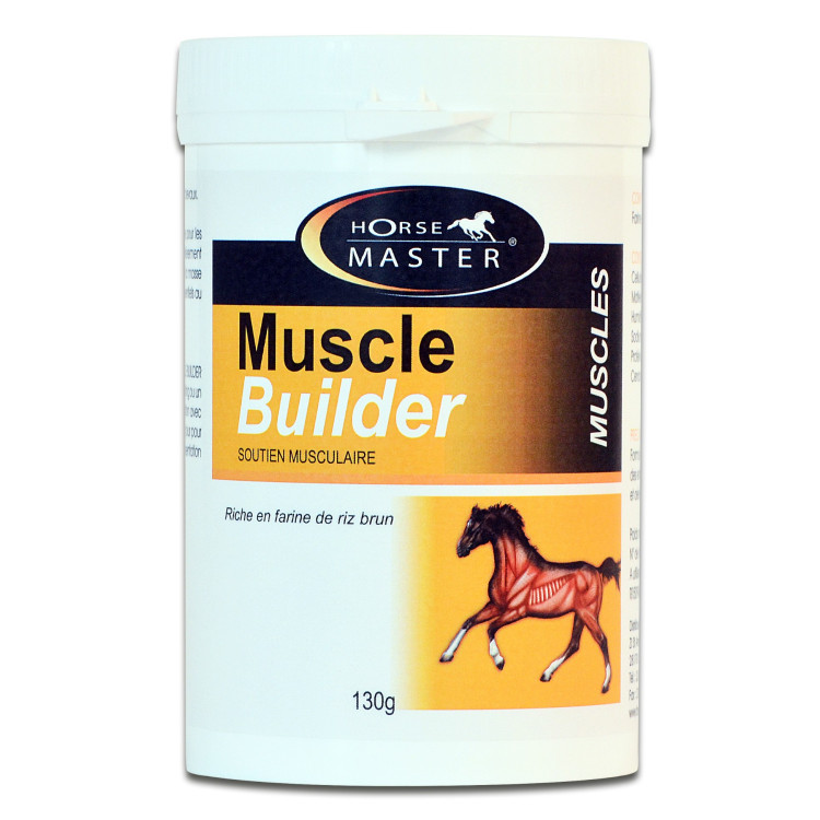 Constructor Muscular Horse Master Constructor Muscular Horse Master