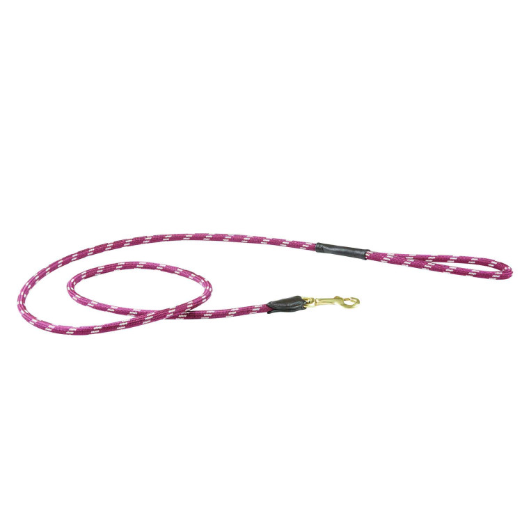 Correa para perro de cuero y cuerda WeatherBeeta