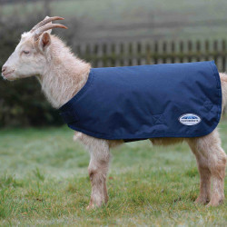 Abrigo para cabra WeatherBeeta