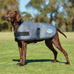 Abrigo para perro WeatherBeeta ComFiTec Classic Abrigo para perro WeatherBeeta ComFiTec Classic