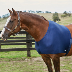 Protector de hombros WeatherBeeta
