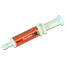 Pro L carnitine Horse Master - energia