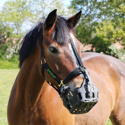 Greenguard Negro