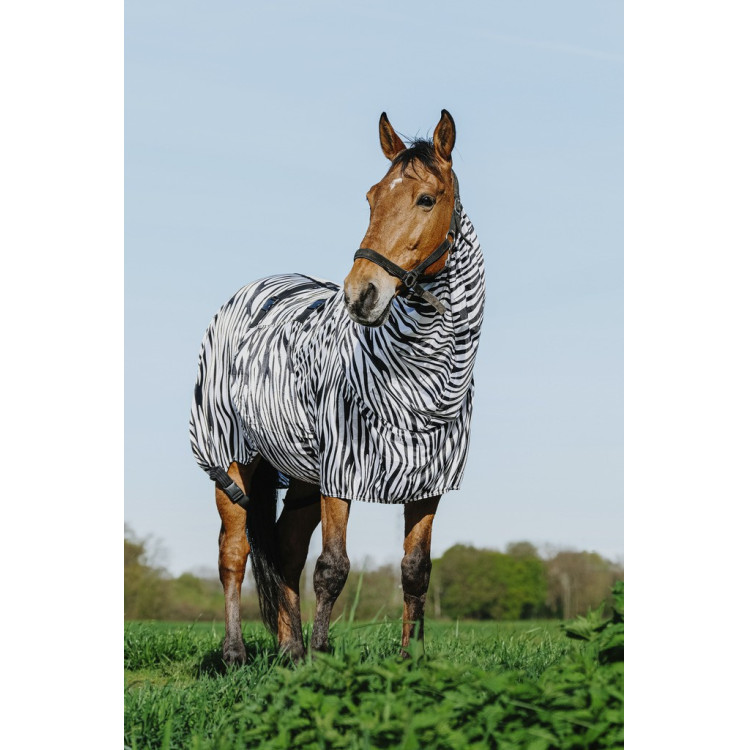 Camisa antieccema cebra Riding World Camisa antieccema cebra Riding World