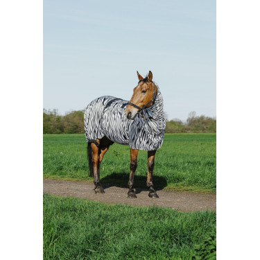 Camisa antieccema cebra Riding World Camisa antieccema cebra Riding World