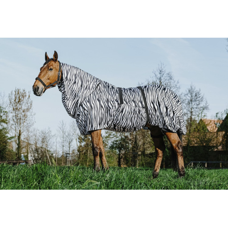 Camisa antieccema cebra Riding World Camisa antieccema cebra Riding World