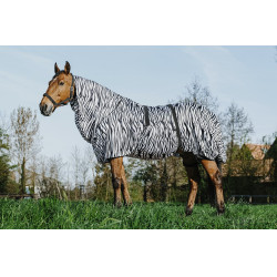 Camisa antieccema cebra Riding World Camisa antieccema cebra Riding World