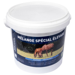 mse especial cuadra Greenpex mse especial cuadra Greenpex