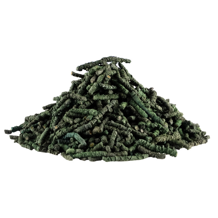 Espirulina vermicelli Horse Master Espirulina vermicelli Horse Master