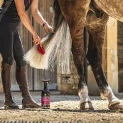 Loción para crines y cola Canter® Carr & Day & Martin Loción para crines y cola Canter® Carr & Day & Martin
