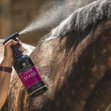 Loción para crin y cola Canter® Carr & Day & Martin Loción para crin y cola Canter® Carr & Day & Martin