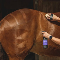 Abrillantador Carr & Day &...