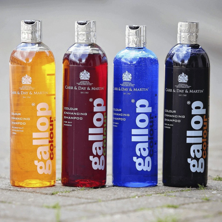Champú Gallop® Carr & Day & Martin para alazanes y palominos Champú Gallop® Carr & Day & Martin para alazanes y palominos