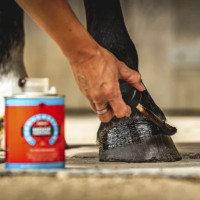 Aceite para cascos Carr &... Aceite para cascos Carr &...