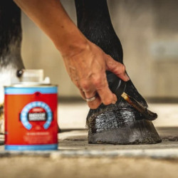 Aceite para cascos Carr & Day & Martin Hoof Dressing Cornucrescine