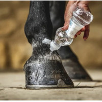 Aceite para cascos Carr &...