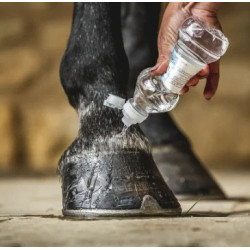 Aceite para cascos Carr & Day & Martin Daily Hoof Barrier Cornucrescine Aceite para cascos Carr & Day & Martin Daily Hoof Barrier Cornucrescine