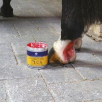 Crema de protección Carr &...