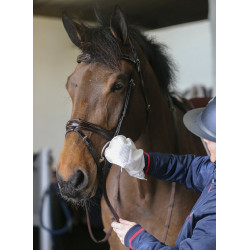 Guantes de limpieza Belvoir® Carr & Day & Martin Tack Cleaner Guantes de limpieza Belvoir® Carr & Day & Martin Tack Cleaner
