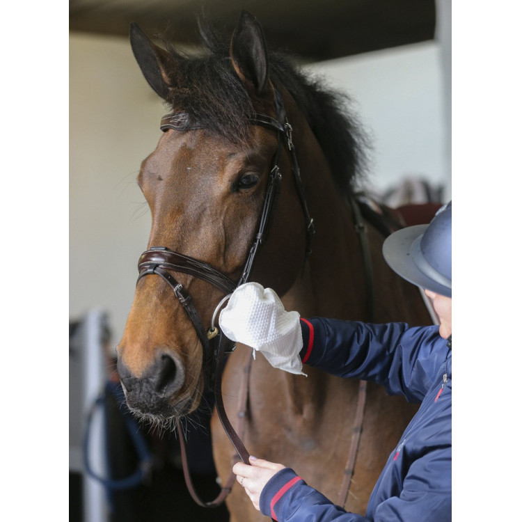 Guantes de limpieza Belvoir® Carr & Day & Martin Tack Cleaner Guantes de limpieza Belvoir® Carr & Day & Martin Tack Cleaner