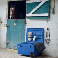 Baúl horizontal con ruedas La Gée Azul