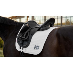 Mantilla LeMieux doma competition square Mantilla LeMieux doma competition square