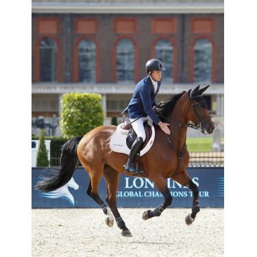 Mantilla LeMieux EJ binding - suede Blanco / plata / blanco