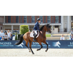 Mantilla LeMieux EJ binding - suede Blanco / plata / blanco