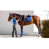 Vendas polo LeMieux Luxury - Protección caballos Vendas polo LeMieux Luxury - Protección caballos