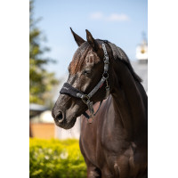 Cabezada de cuadra Lemieux Vogue Negro / Gris